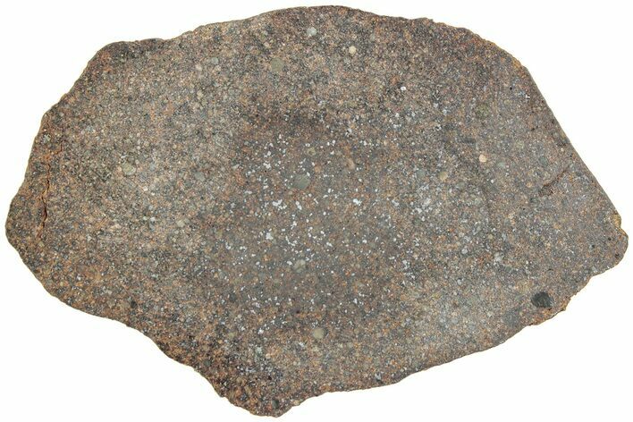 Polished Chondrite Meteorite Slice ( g) - Morocco #238059